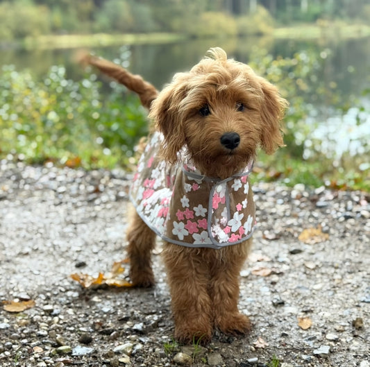 Regnjacka för hund med rosa blommor