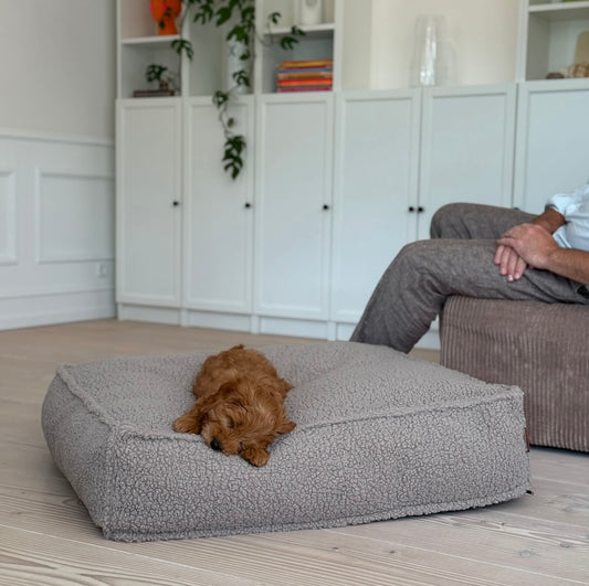 Frede hundbÀdden i sherpa fleece