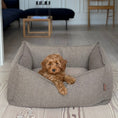 Ladda bild i gallerivisaren, CARL HUNDKORGEN / BRUN TWEED
