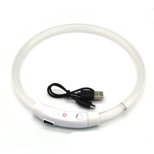 Led-halsband multifärgat