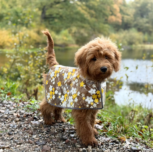 Regnjacka för hund med gula blommor