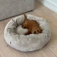 Ladda bild i gallerivisaren, Elva / beige