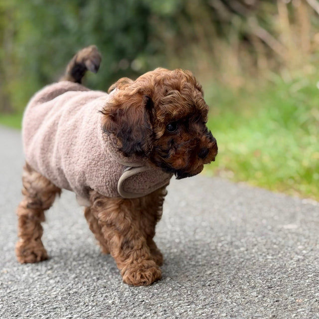 By Doodle Dogs Sherpa fleecetröja