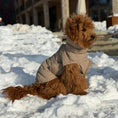 Ladda bild i gallerivisaren, By Doodle Dogs Eva hundejakke vinter / beige