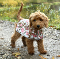 Ladda bild i gallerivisaren, Regnjacka för hund med rosa blommor