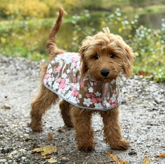 Regnjacka för hund med rosa blommor