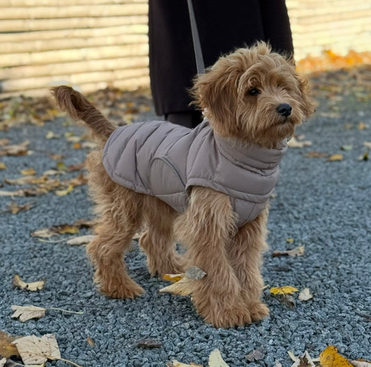 BY DOODLE DOGS EVA HUNDJACKA VINTER / Brun / Förhandsbeställning vecka 44