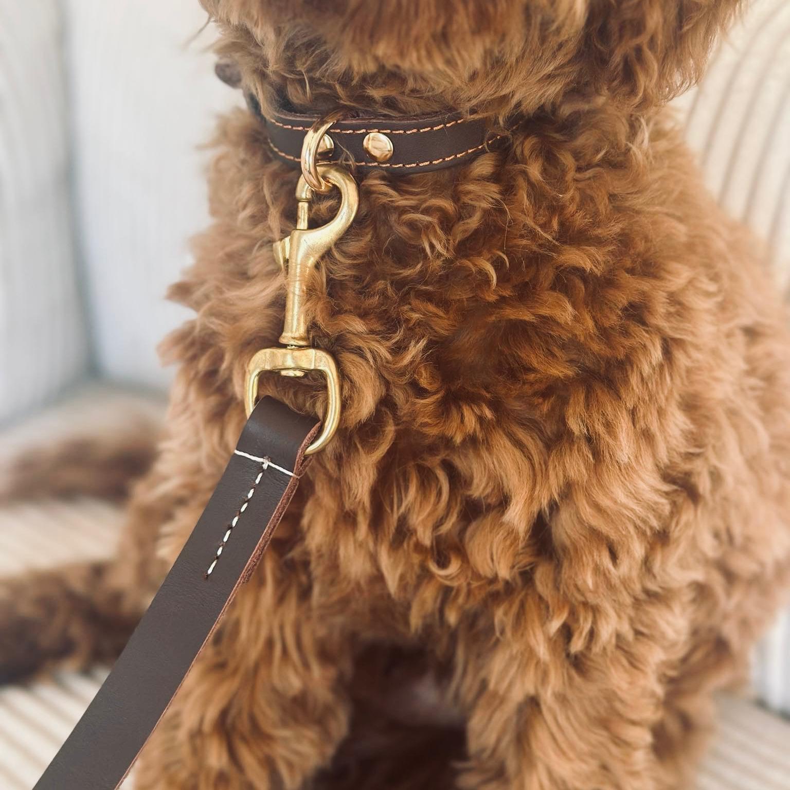 Hundhalsband i brun okseläder