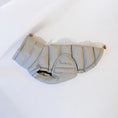 Ladda bild i gallerivisaren, By Doodle Dogs Eva hundejakke vinter / beige