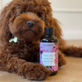 Ladda bild i gallerivisaren, Hundeshampoo / biogance ökologisk