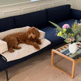 Ladda bild i gallerivisaren, Olaf hundkorgen till soffan
