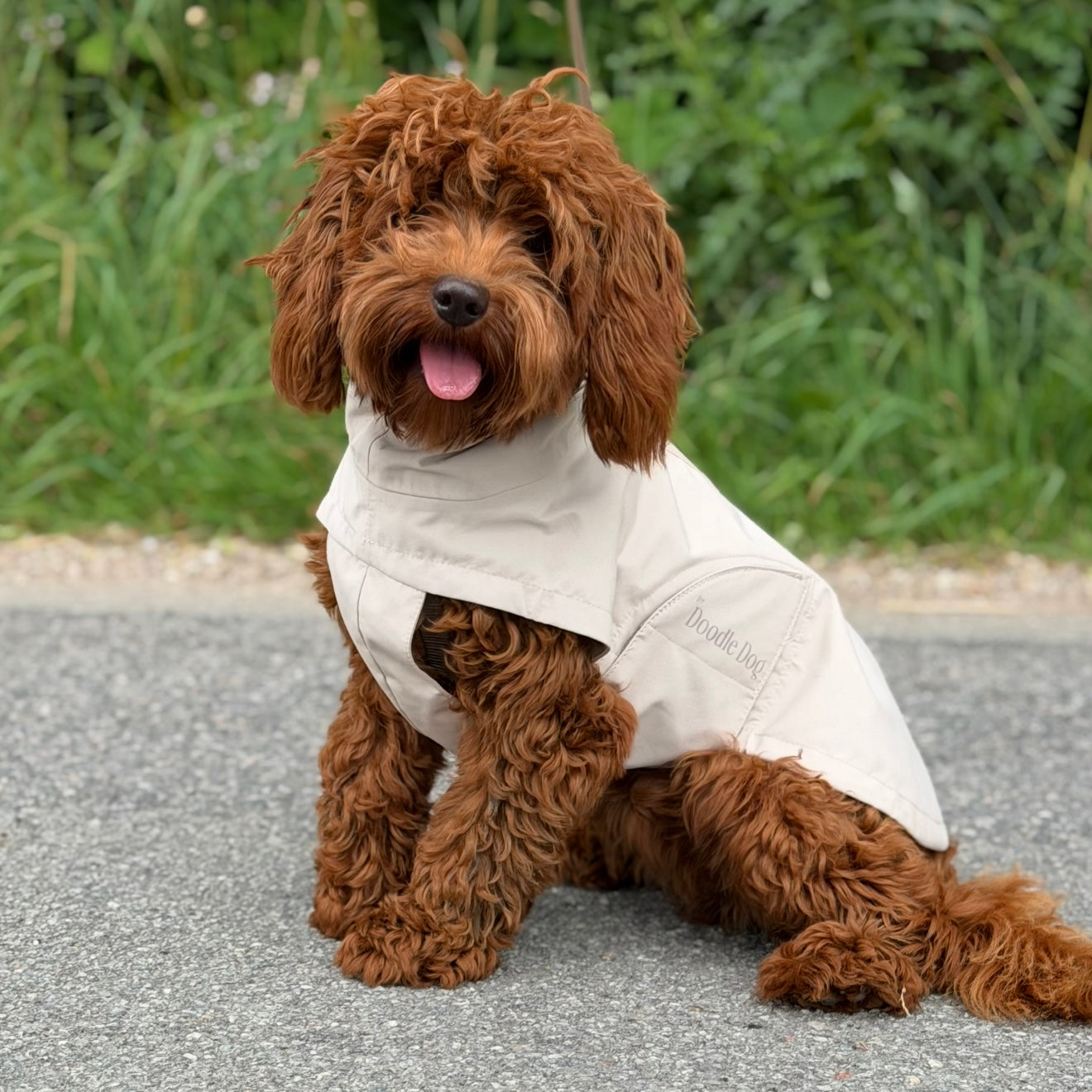 By Doodle Dogs regnjacka i beige