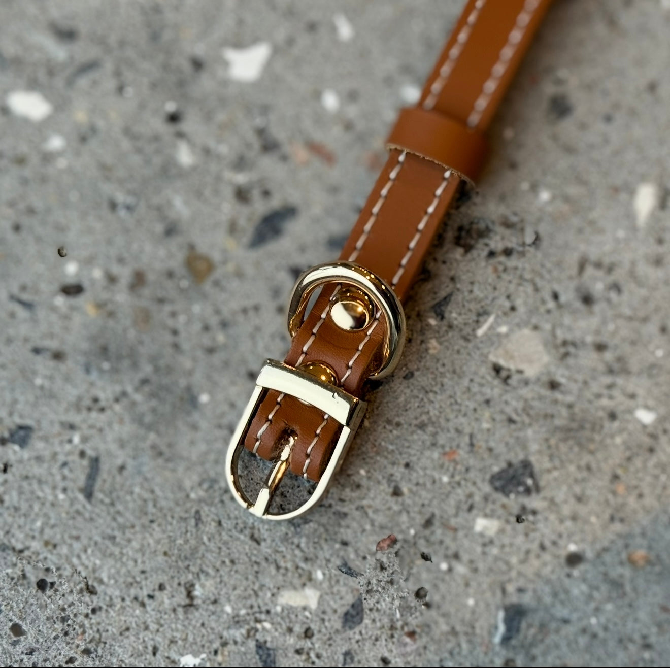 Hundhalsband / cognacläder