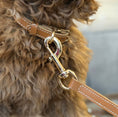 Ladda bild i gallerivisaren, Hundhalsband / cognacläder
