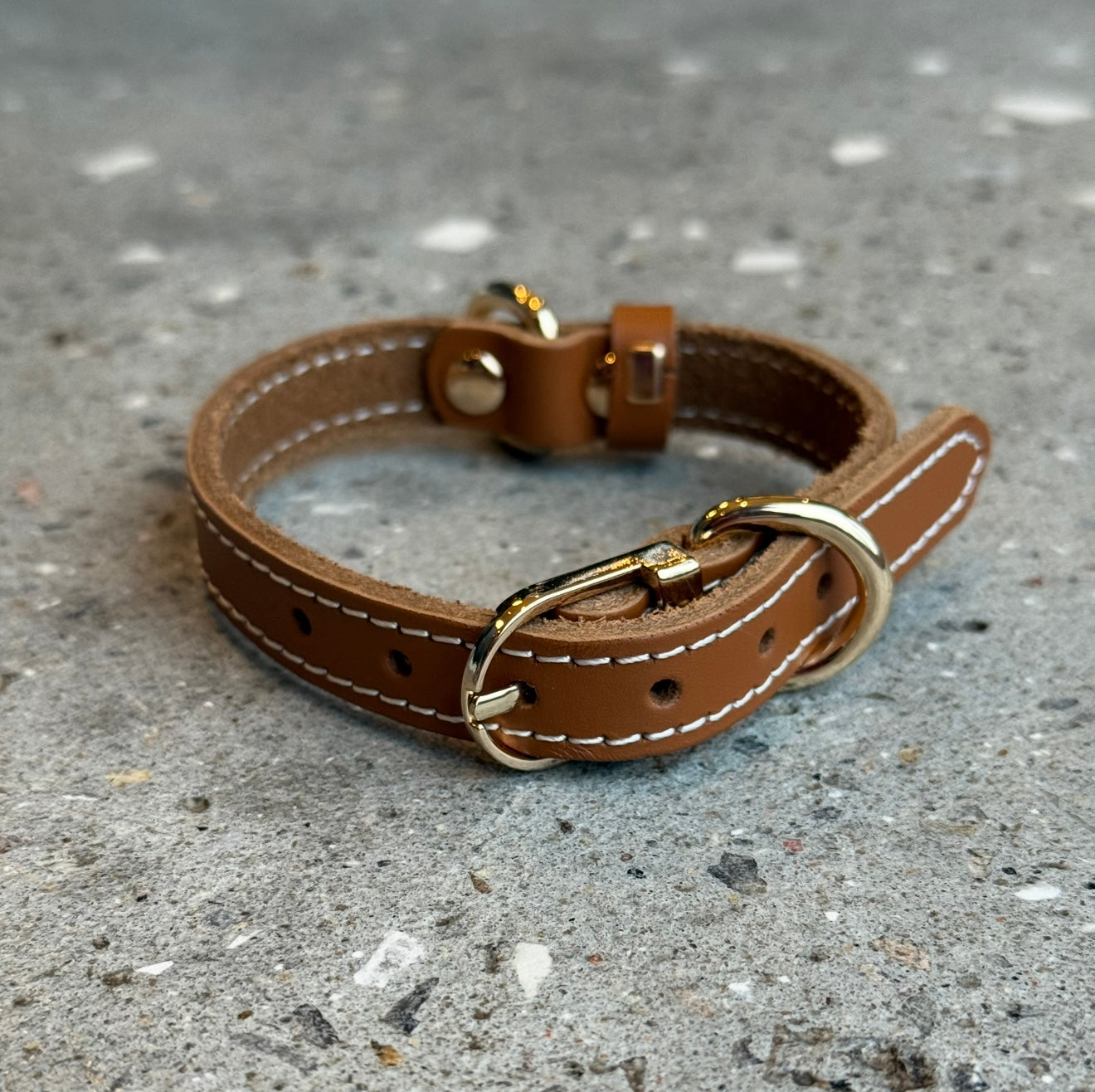 Hundhalsband / cognacläder