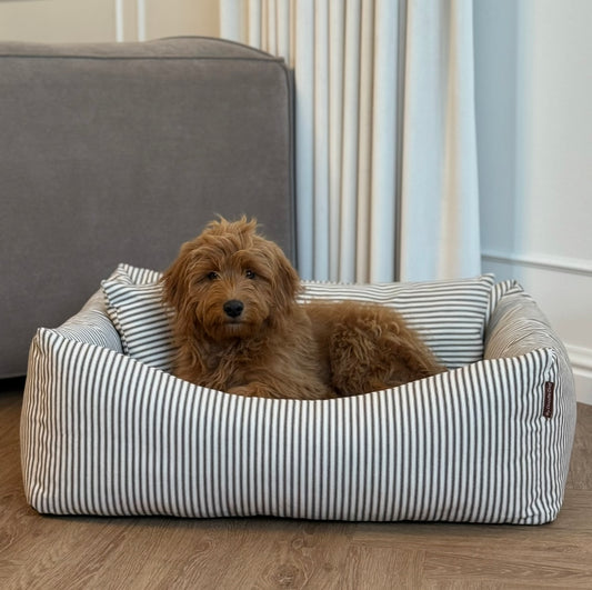 EIGIL HUNDKORG MED MYSIGA KUDDAR