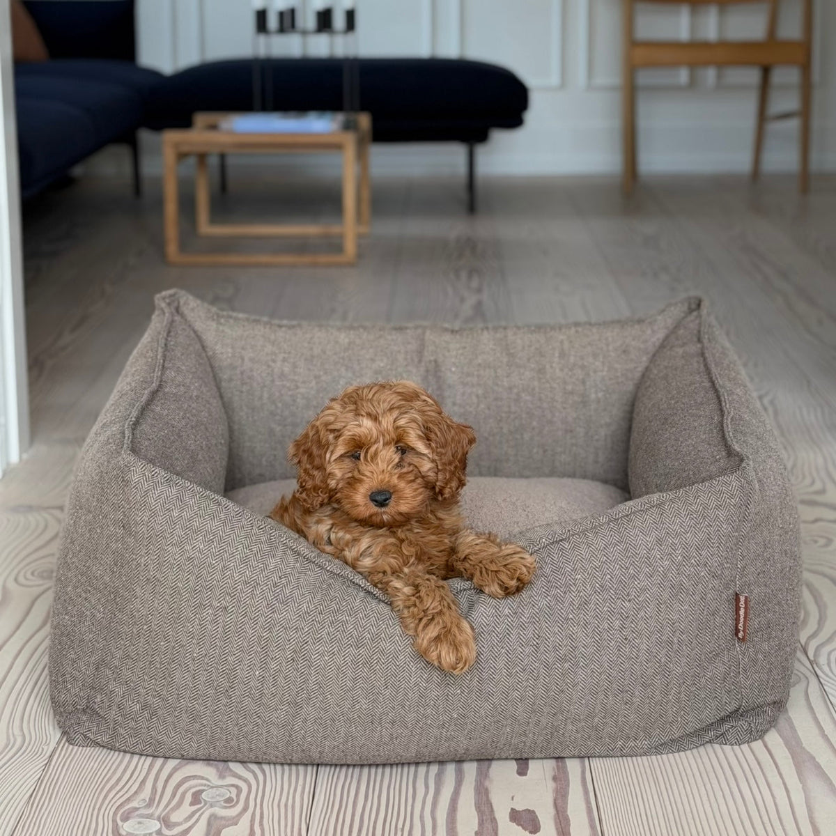 CARL HUNDKORGEN / BRUN TWEED