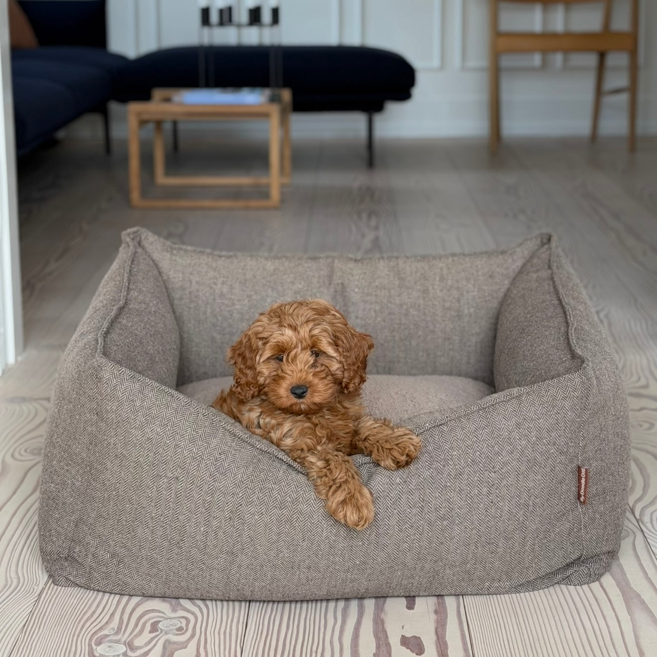 CARL HUNDKORGEN / BRUN TWEED
