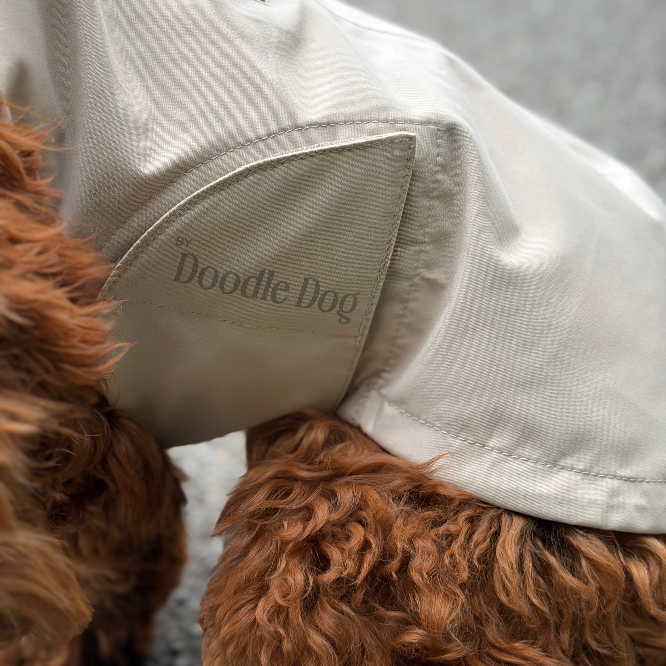 By Doodle Dogs regnjacka i beige