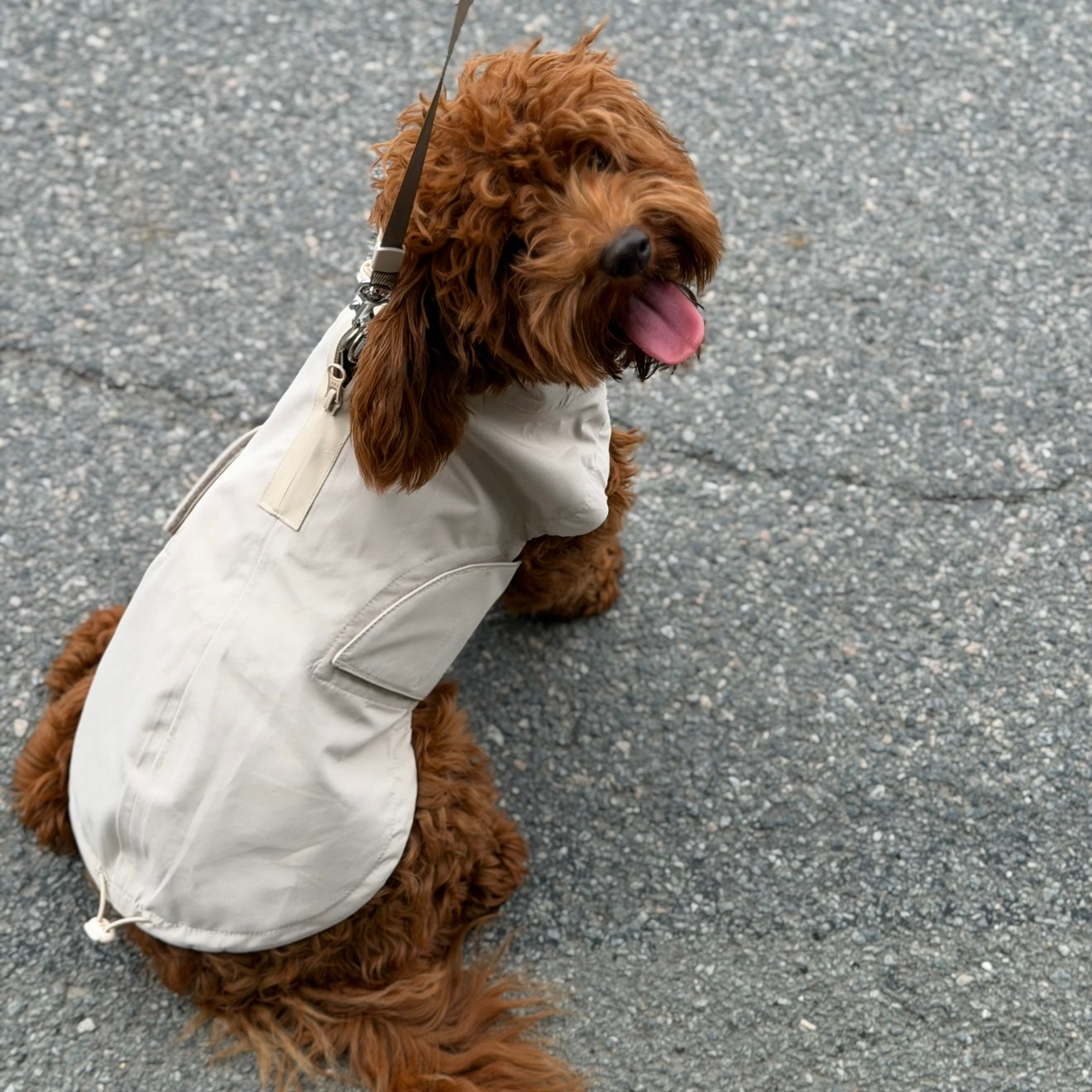By Doodle Dogs regnjacka i beige