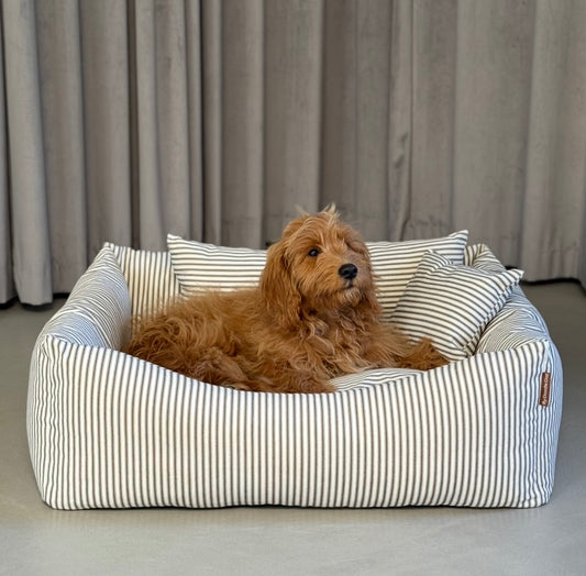 EIGIL HUNDKORG MED MYSIGA KUDDAR