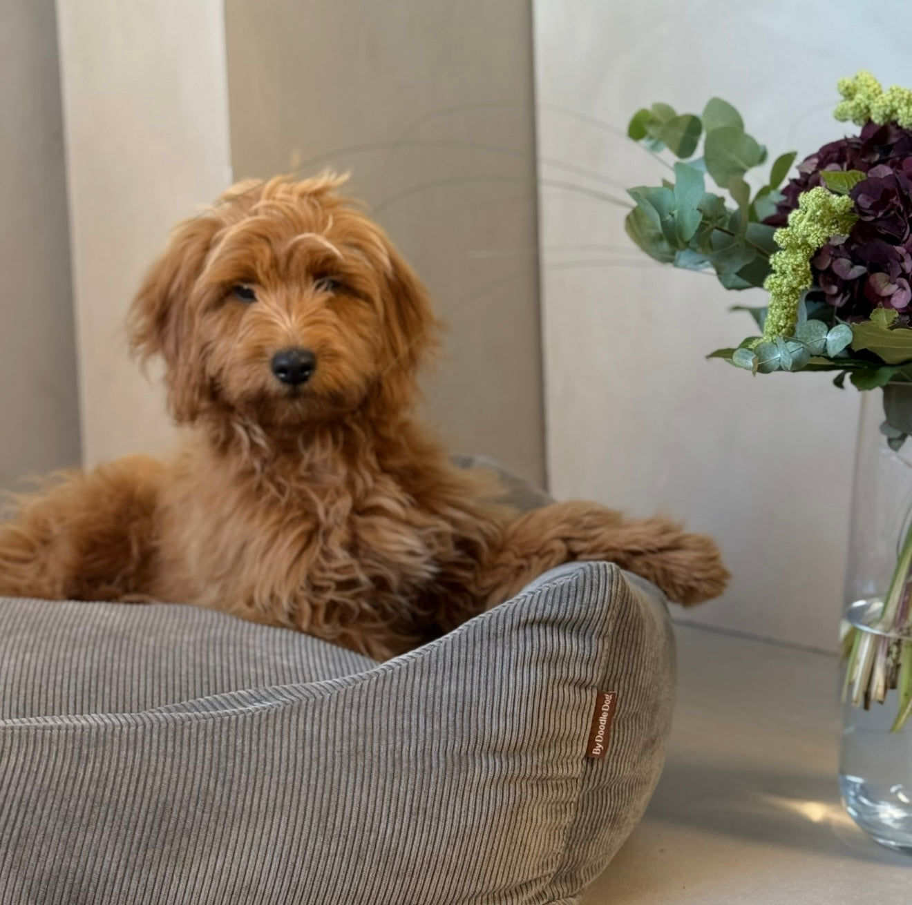 Björk hundbädd - koksgrå