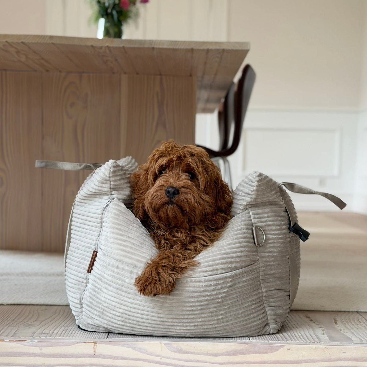 NYHET - Liten Björk bilsäte för hundar - beige / Bred sammet 52 x 52 x 36 cm