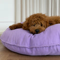 Ladda bild i gallerivisaren, Ingolf hundekurven / lilla
