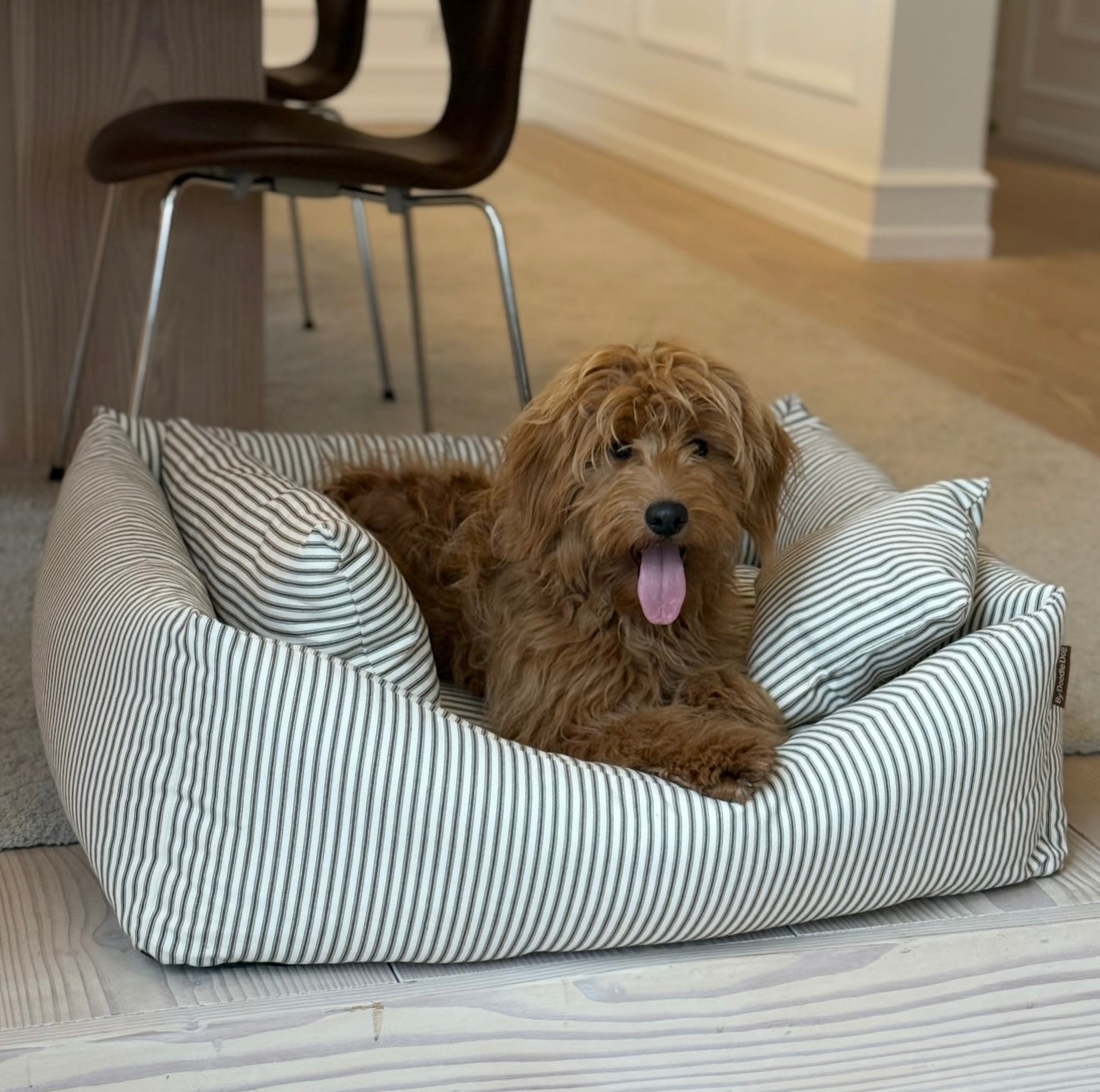 EIGIL HUNDKORG MED MYSIGA KUDDAR