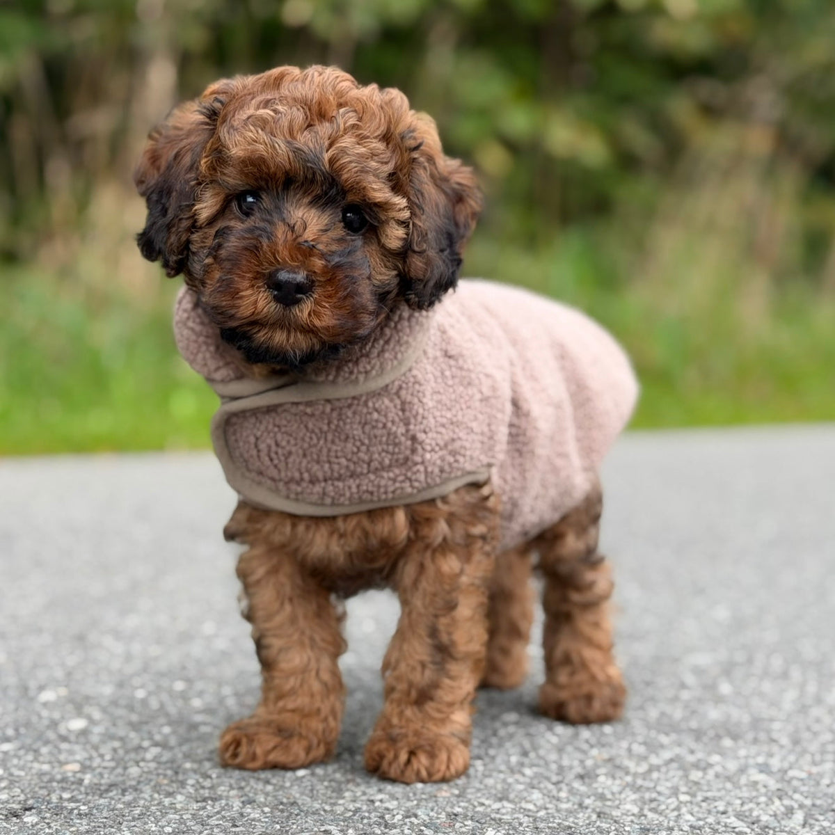 By Doodle Dogs Sherpa fleecetröja