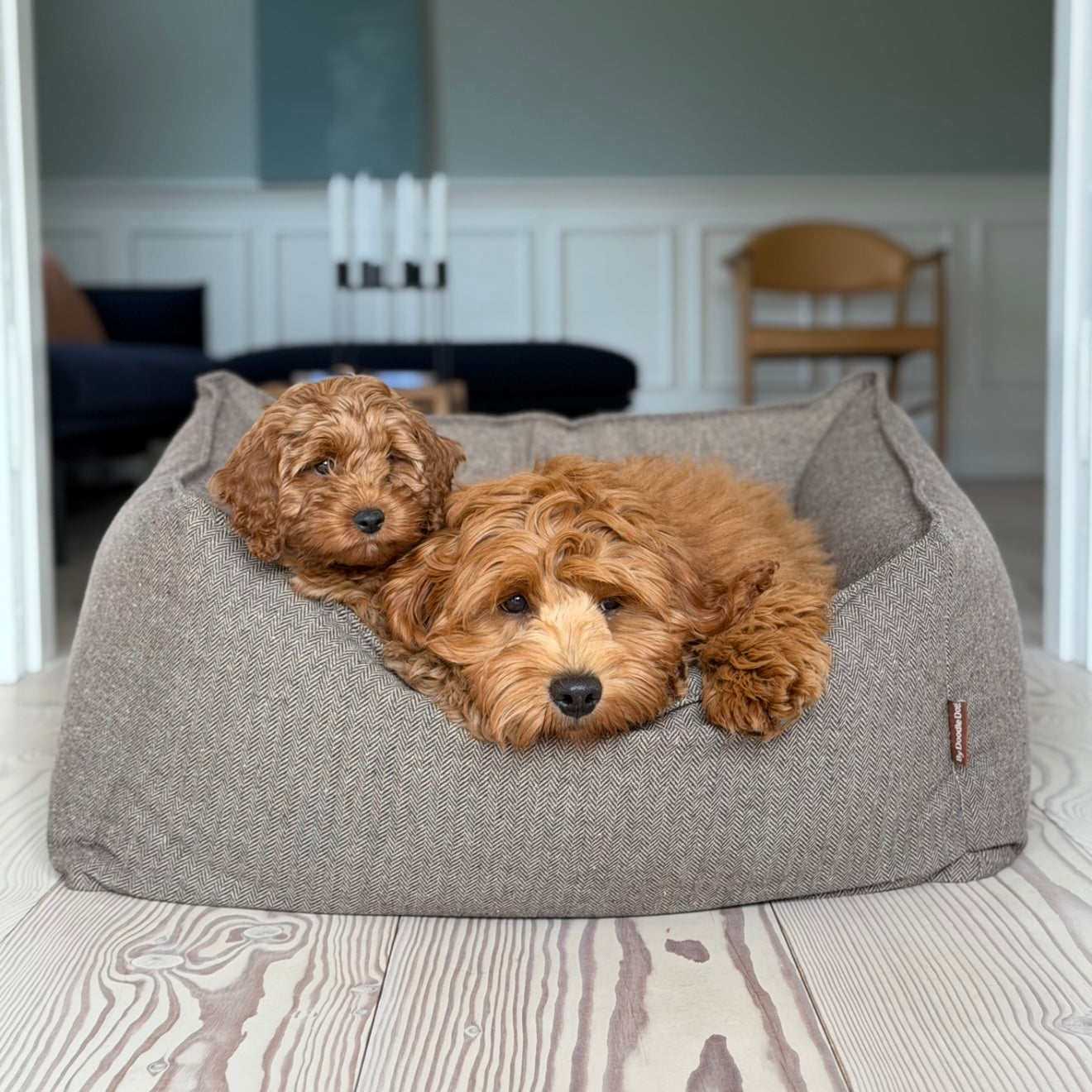 CARL HUNDKORGEN / BRUN TWEED