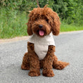 Ladda bild i gallerivisaren, By Doodle Dogs regnjacka i beige
