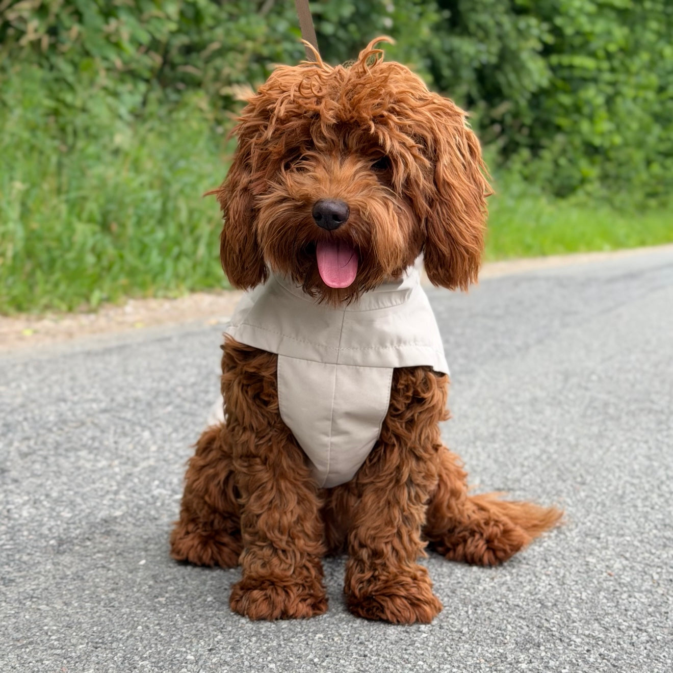 By Doodle Dogs regnjacka i beige