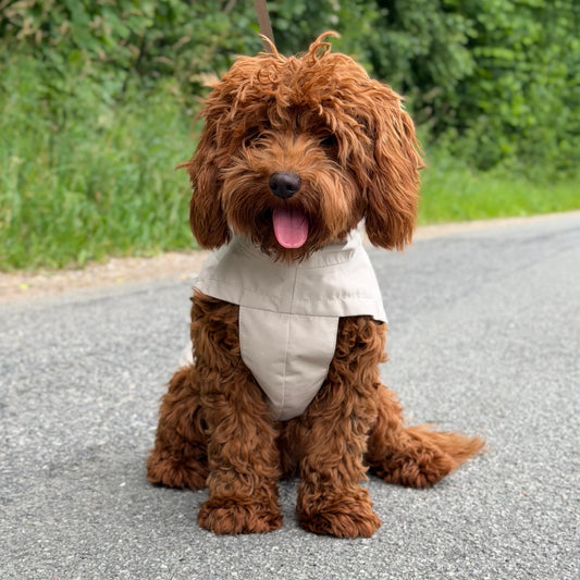 By Doodle Dogs regnjacka i beige