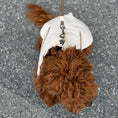 Ladda bild i gallerivisaren, By Doodle Dogs regnjacka i beige
