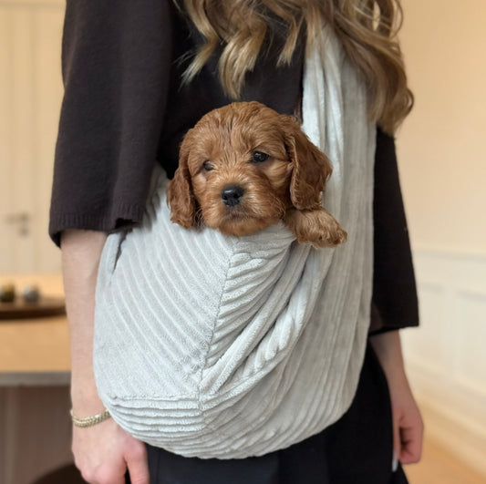 Julius sammet slyngen / Beige