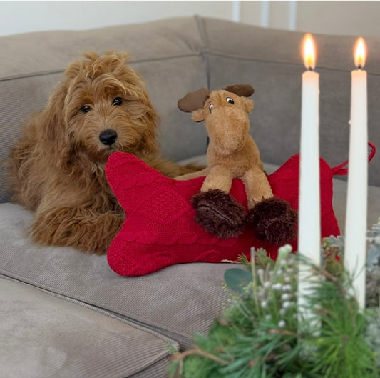 Julklapp till din bästa vän