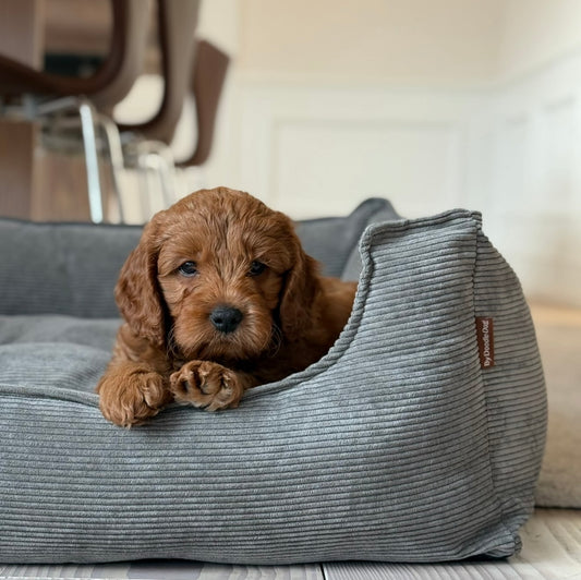 Elmer hundbädd - Grå