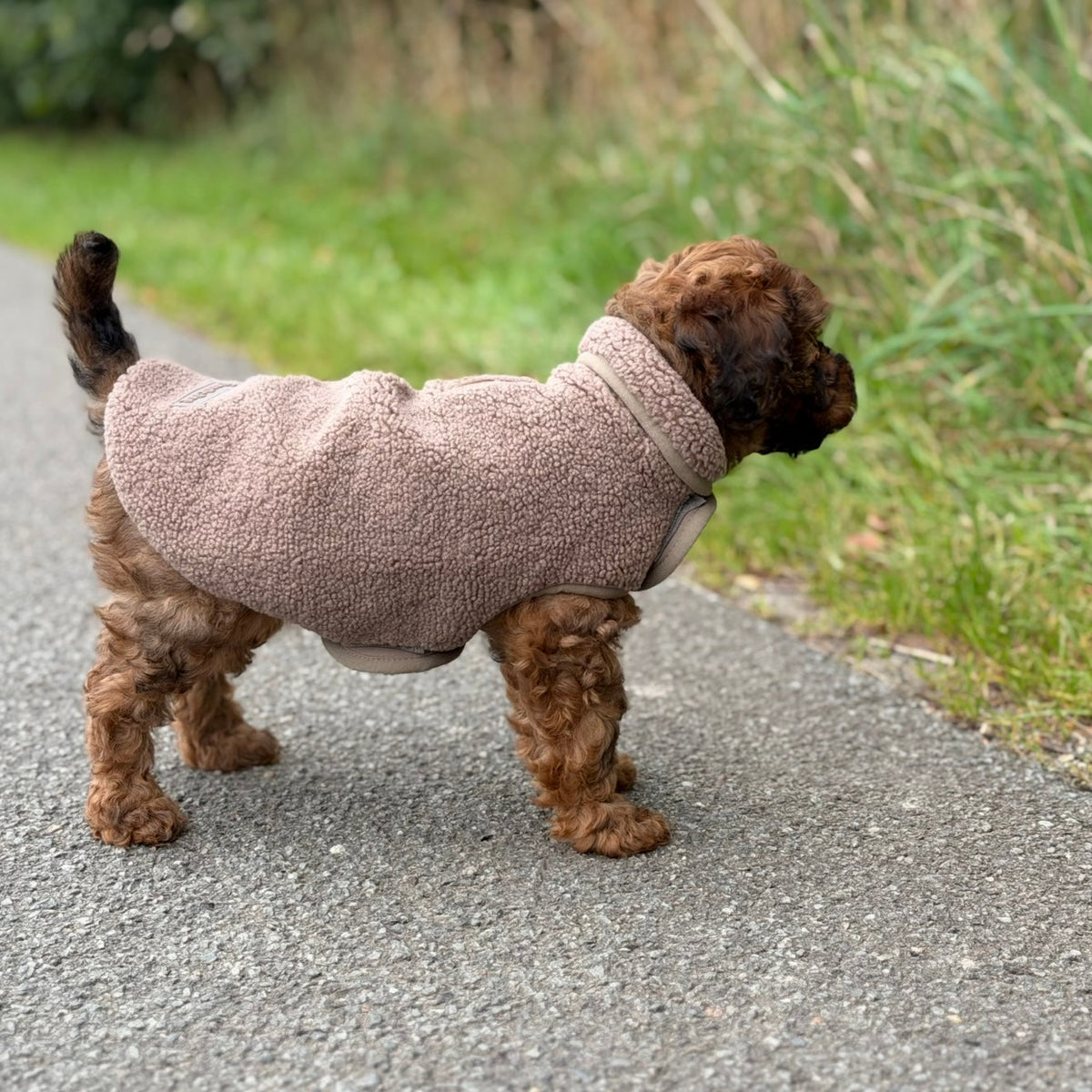 By Doodle Dogs Sherpa fleecetröja