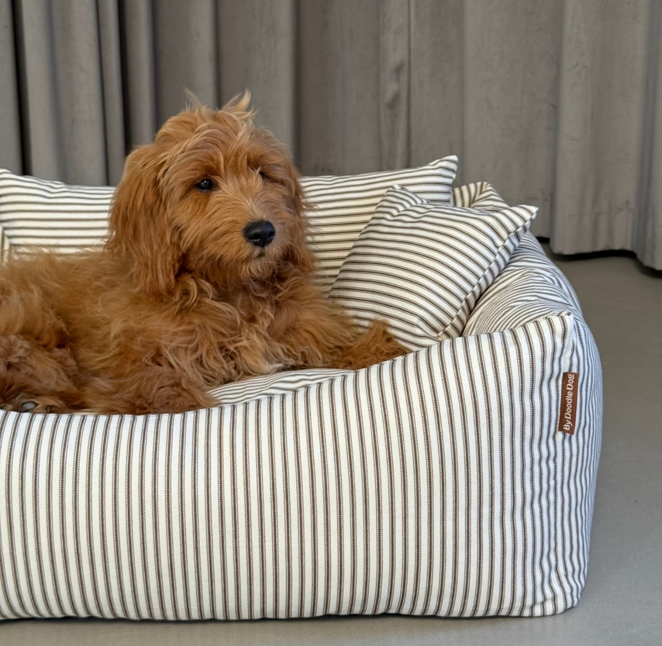 EIGIL HUNDKORG MED MYSIGA KUDDAR