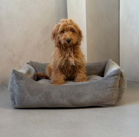 Björk hundbädd - koksgrå