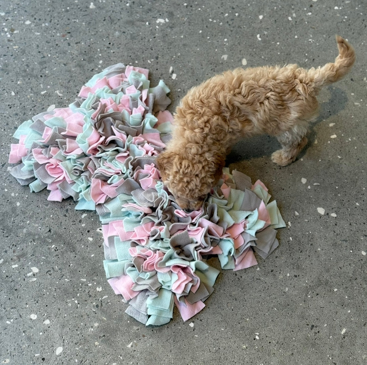 Aktivitetsmatta för hund