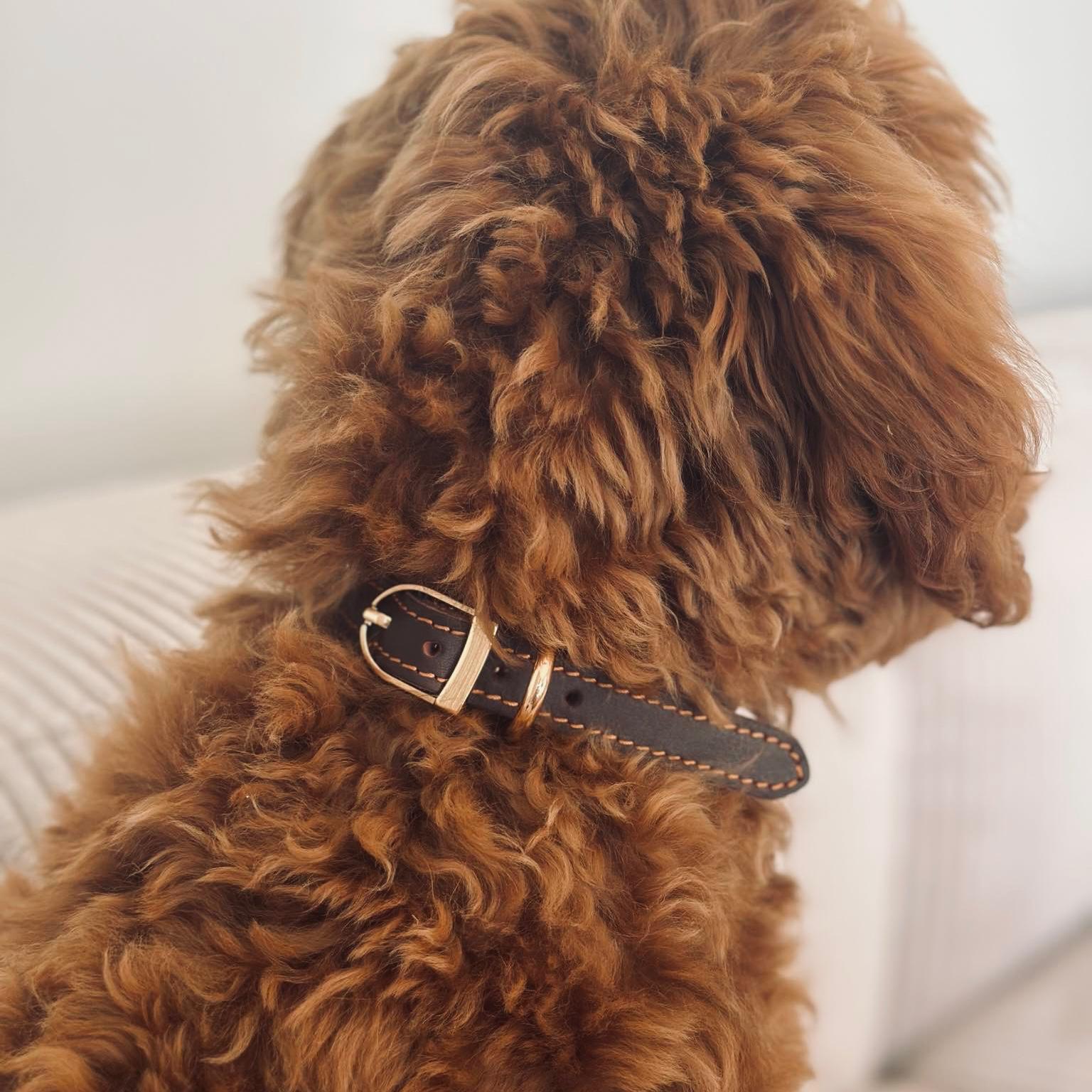Hundhalsband i brun okseläder