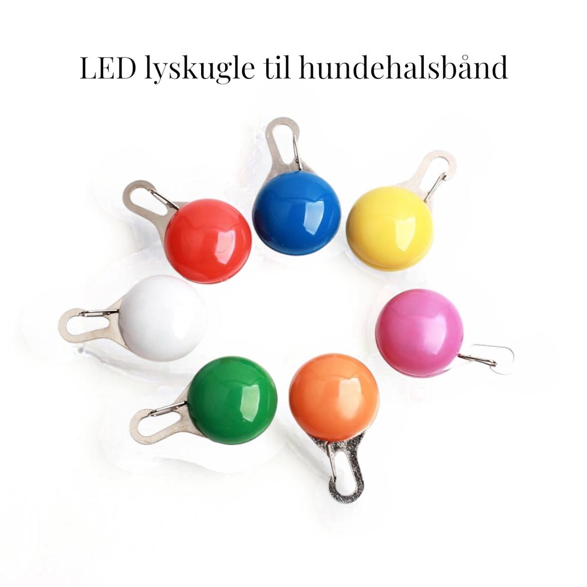 LED lyskugle för halsbånd