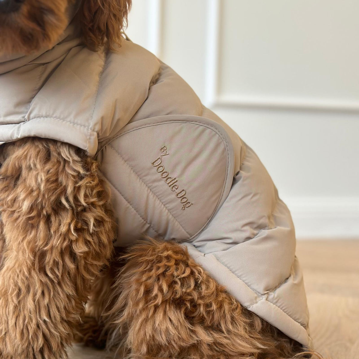 By Doodle Dogs Eva hundjacka vinter / beige