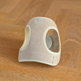 Ladda bild i gallerivisaren, Nora kropssele i sammet / Beige
