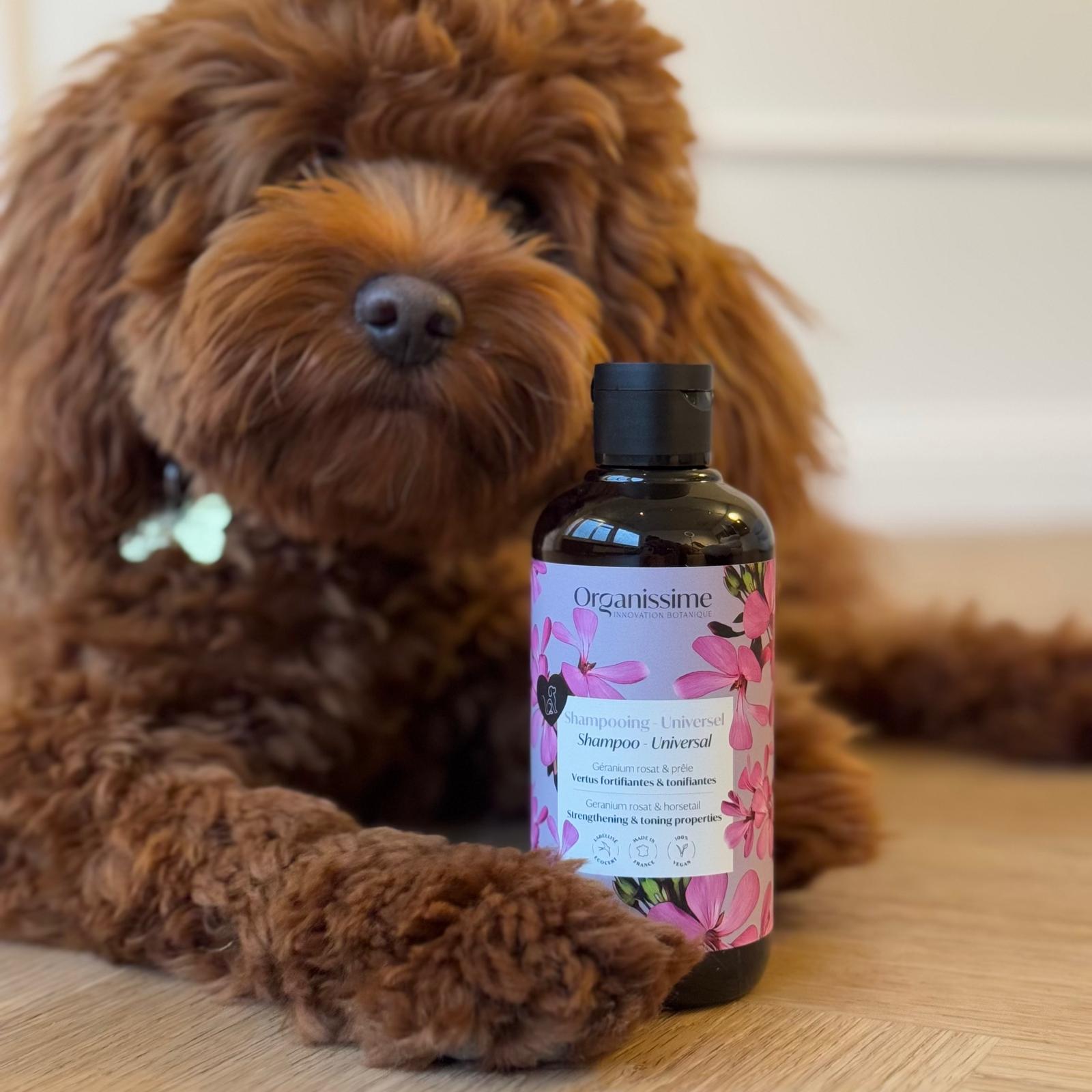 Hundeshampoo / biogance ökologisk