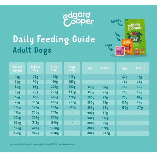 Paté And&Kyckling Puppy 300gr
