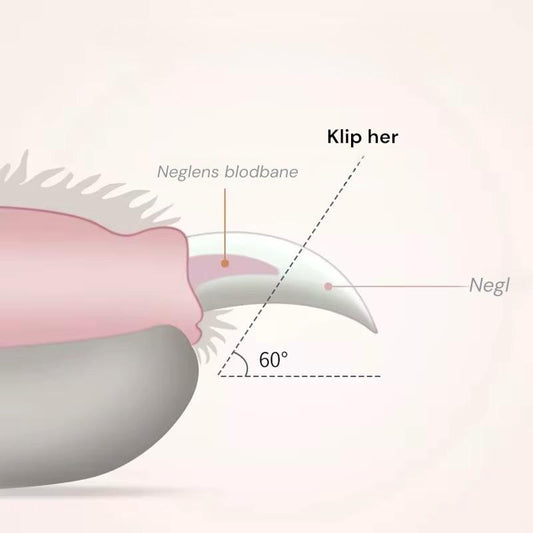 Hund nagelklippare m. LED-ljus